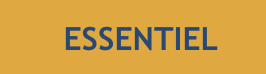Hébergement ESSENTIEL – 5 comptes mails