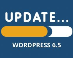 WordPress 6.5 est disponible